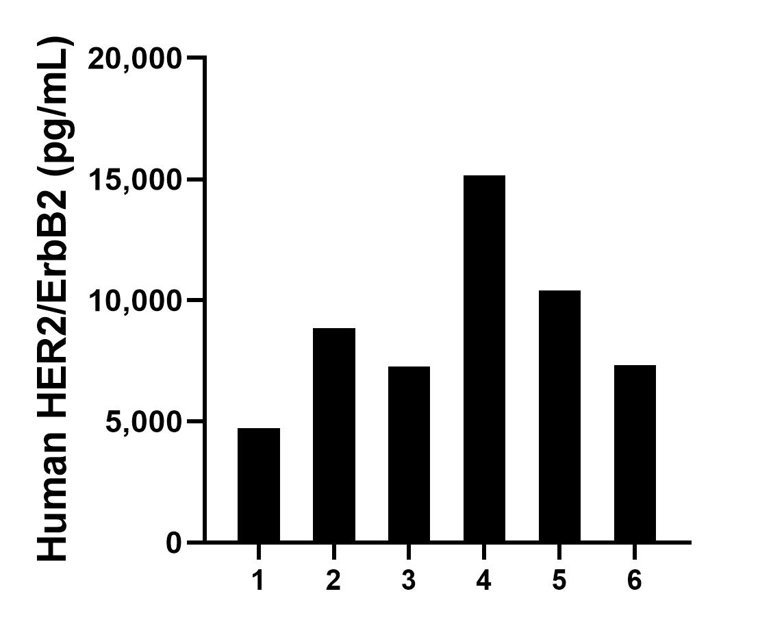 Sample test of MP01080-1